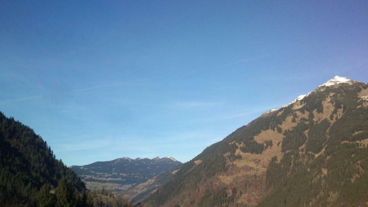 Villa Neuberg Alm Sankt Gallenkirch Exterior foto